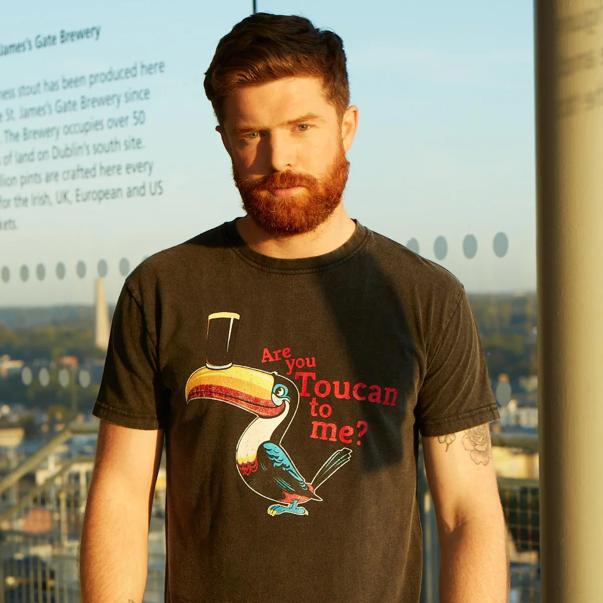 Guinness Are You Toucan To Me Tee - Grey - Image 4