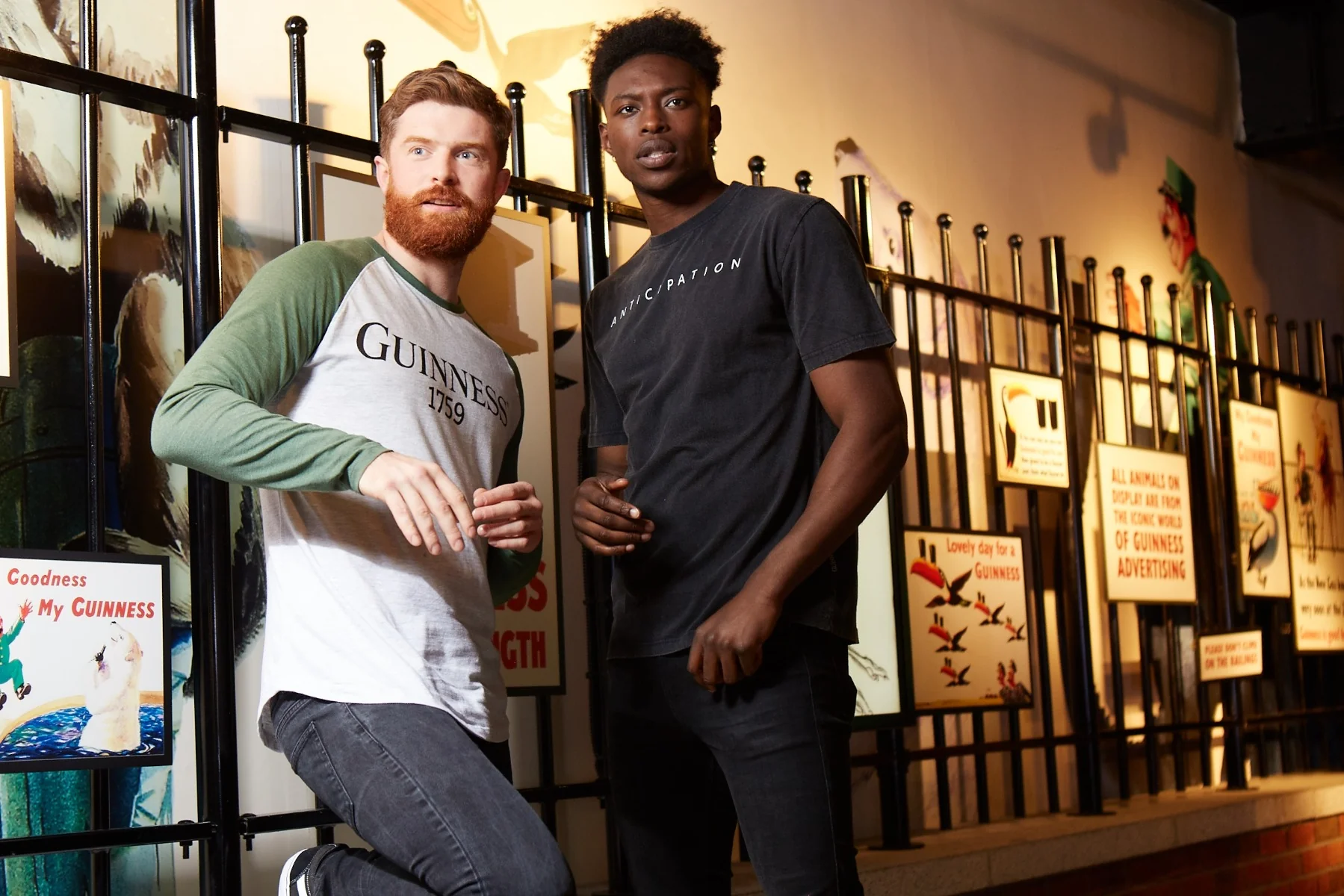 Guinness Premium Vintage Tortoise Back Graphic Tee - Image 6