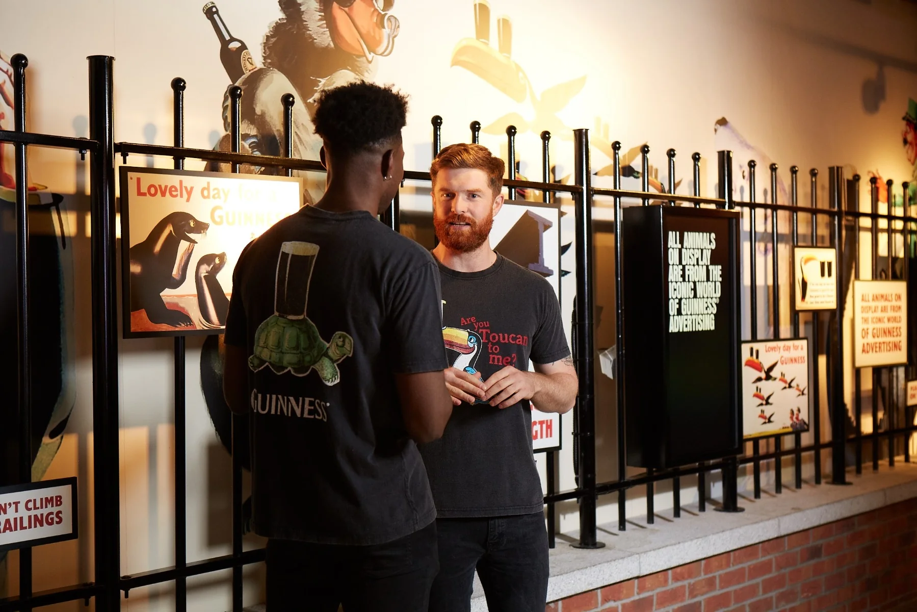 Guinness Premium Vintage Tortoise Back Graphic Tee - Image 7